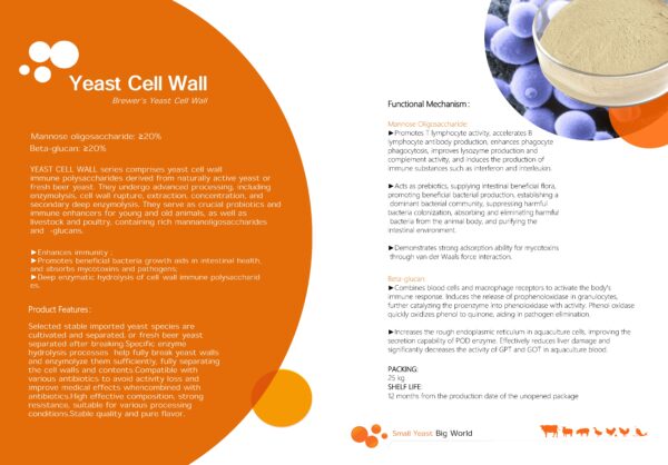 yeast cell wall