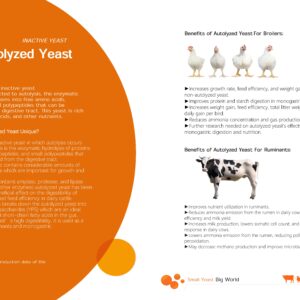 autol yzed yeast