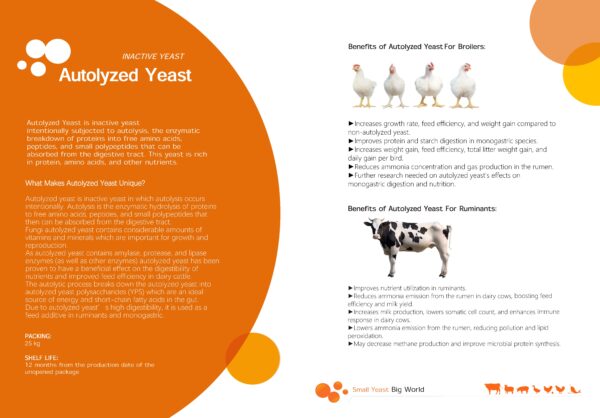 autol yzed yeast